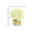 Hydrangea In A Ceramic Label Pot-41921069