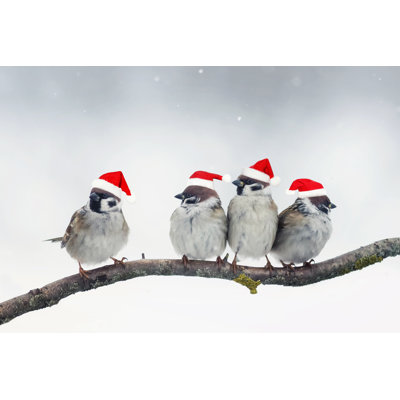 Funny Christmas Birds 1 Piece Wrapped Canvas Wall Art