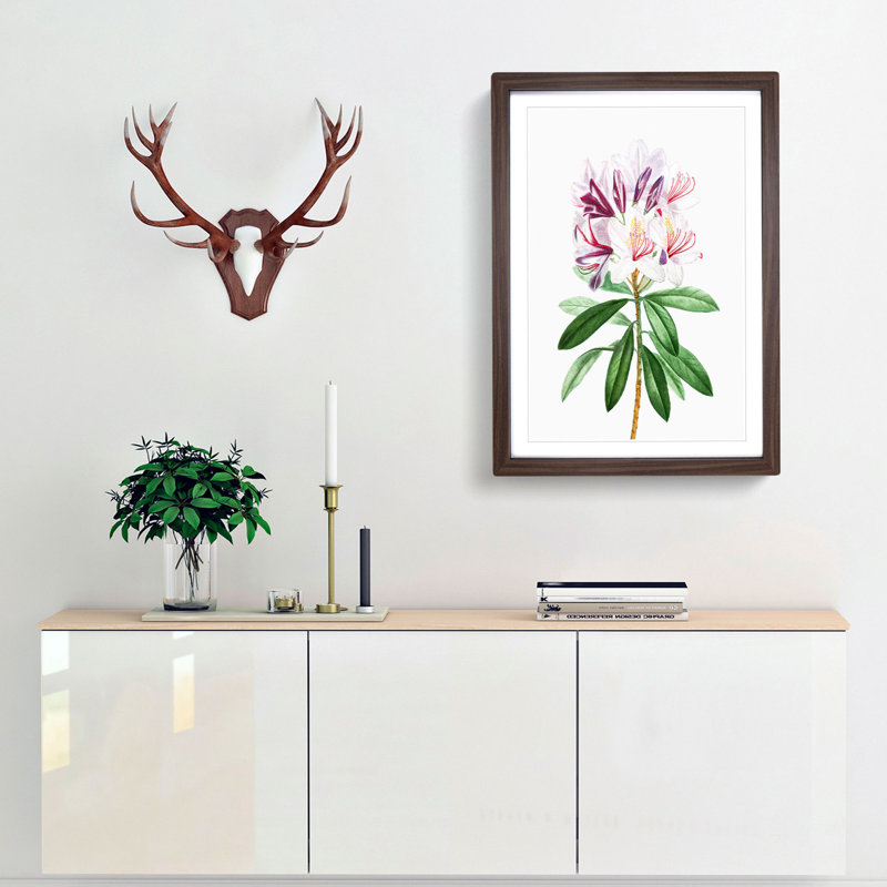 Pink Rhododendron Flowers by Pierre-Joseph Redoute - Picture Frame Painting Print, 36cm H x 27cm W x 2cm D, Walnut Framed