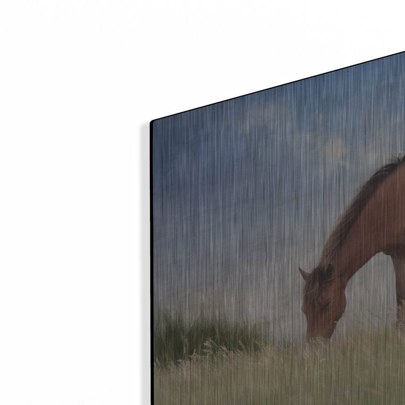 «Assataegue Horse» par Lori Deiter, H 12 po x l 16 po