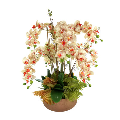 Orchidées disposées dans un pot en fibre de pierre