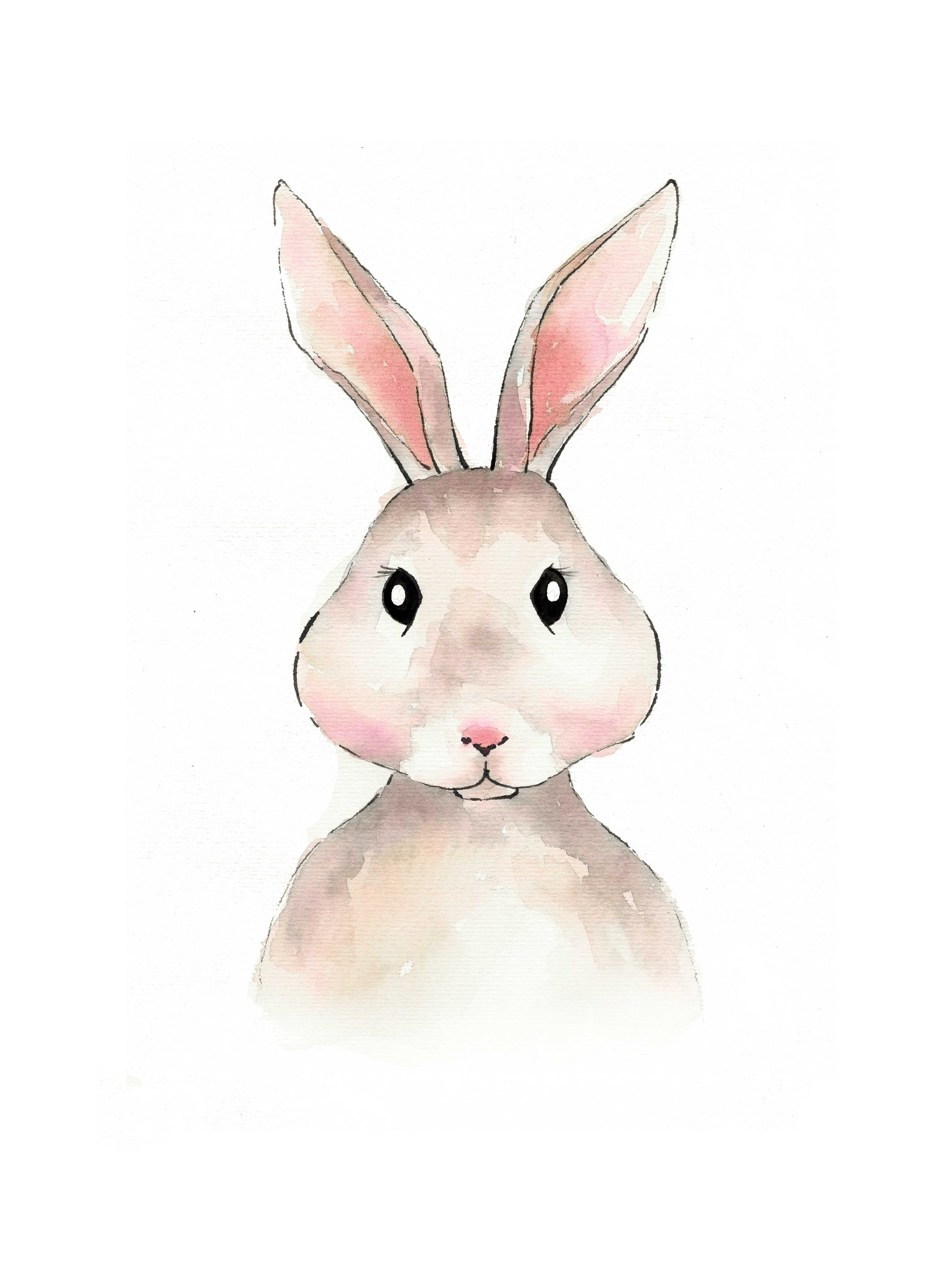 Rosalind Wheeler Cute Animal Portrait Rabbit - Wrapped Canvas Painting ...