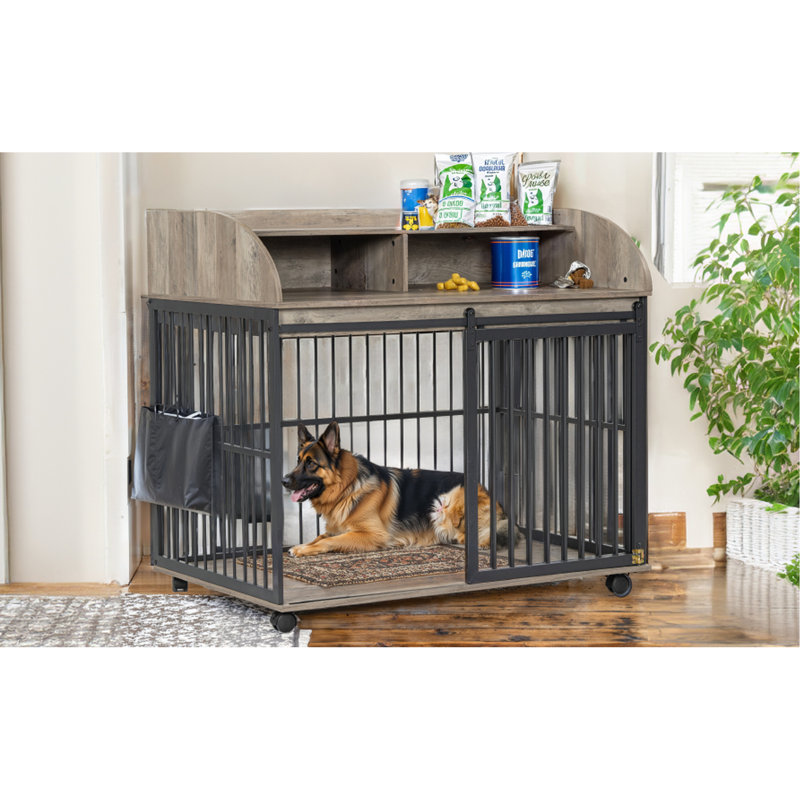Cage pour chien Jaanvi