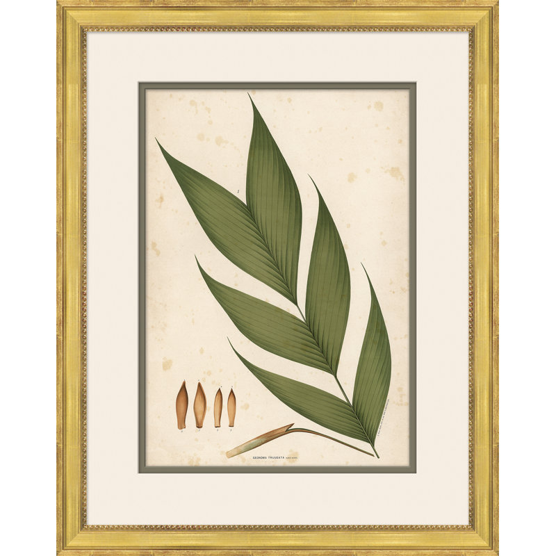 «Palm Leaves 4», peinture sur cadre