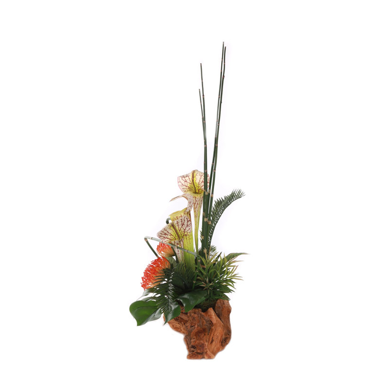 High Style Ikebana Tropical Arrangement in Natural Rustic Wood Bowl