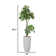 Artificial Money Tree In A Tall Beige Fiberstone Planter