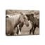 « chevaux »-toile tendue-28142583