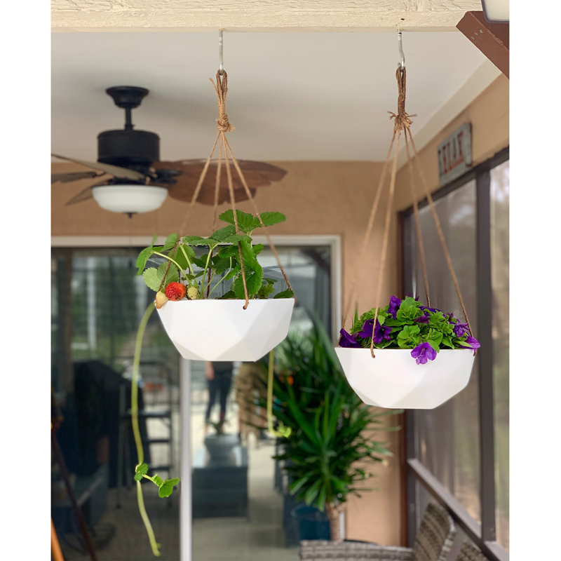 Hanging Planter, 15.5cm H x 29.5cm W x 29.5cm D