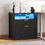 73cm Wide 2 -Drawer File Cabinet-2021688801
