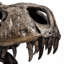 Animals Figurines & Sculptures-50189501