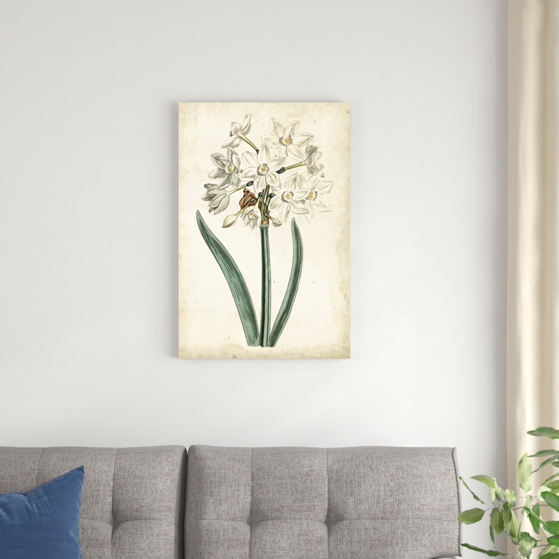 Curtis Narcissus II, H 30 po x l 20 po x P 1,25 po