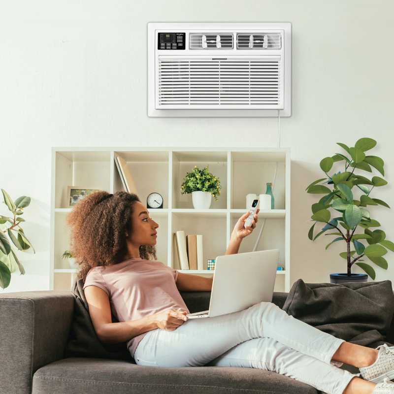 White 10,000 BTU Through-the-Wall Air Conditioner with Remote Control