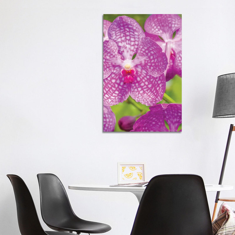 Garden by Panoramic Images - Wrapped Canvas Print, Wrapped Canvas, 66.04 cm H x 45.72 cm W x 3.175 cm D