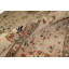 Oriental Area Rug