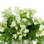 Budding Hydrangea Arrangement In Rippled Vase With Tradescantia And Fern