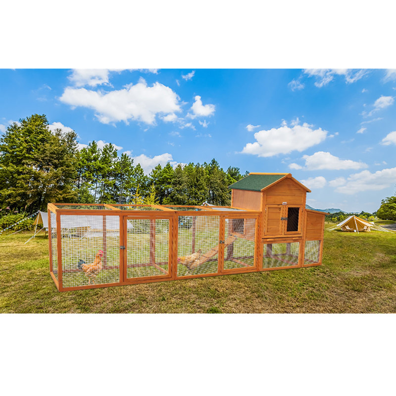 Poulailler en bois avec couloir 123 po