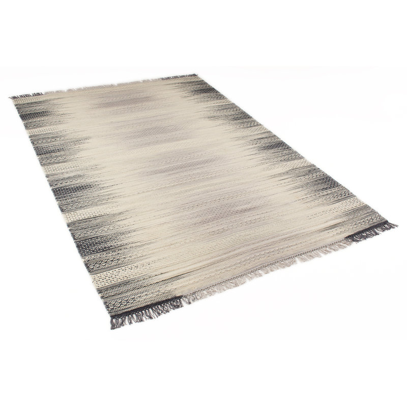 Chiu Geometric Hand Woven Area Rug, Rectangle 200 x 290cm