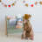 3 Sprouts Recycled Book Rack/solid