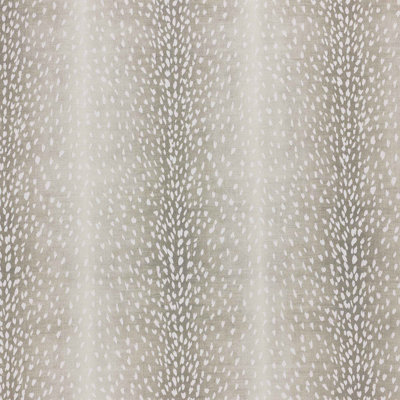 Wiley Fabric