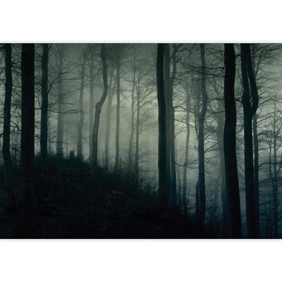 Murale forêt brumeuse la nuit
