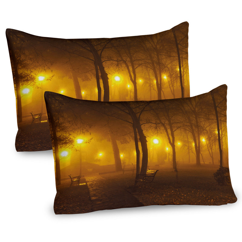 Ensemble de 2 taies décoratives Ambesonne, H 20 po x l 30 po