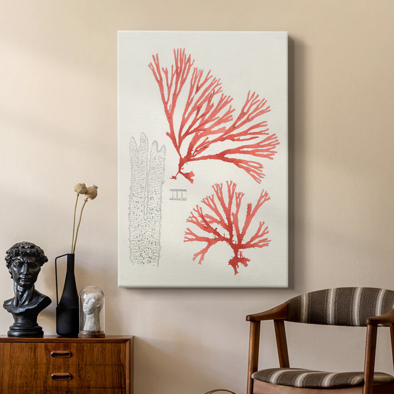 Étude de corail rétro I - galerie Cavas sur mesure, H 18 po x l 12 po