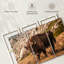 Bison de Brampt-106045962