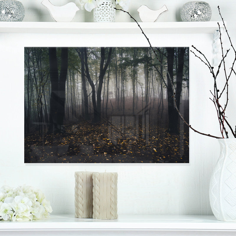 «Dark Spooky Misty Wild Forest», impression sans cadre sur métal, H 12 po x l 20 po x P 2 po