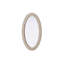 Miroir Dennard-108455845