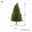 Christmas Tree-5649593