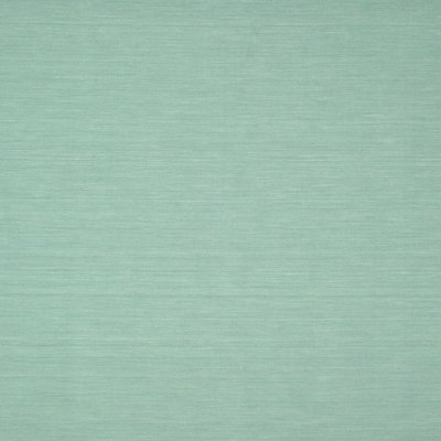 Indoor Rug