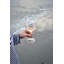 Bristol Glass White Wine Glass