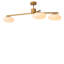 Evergreen 3 - Light Chandelier