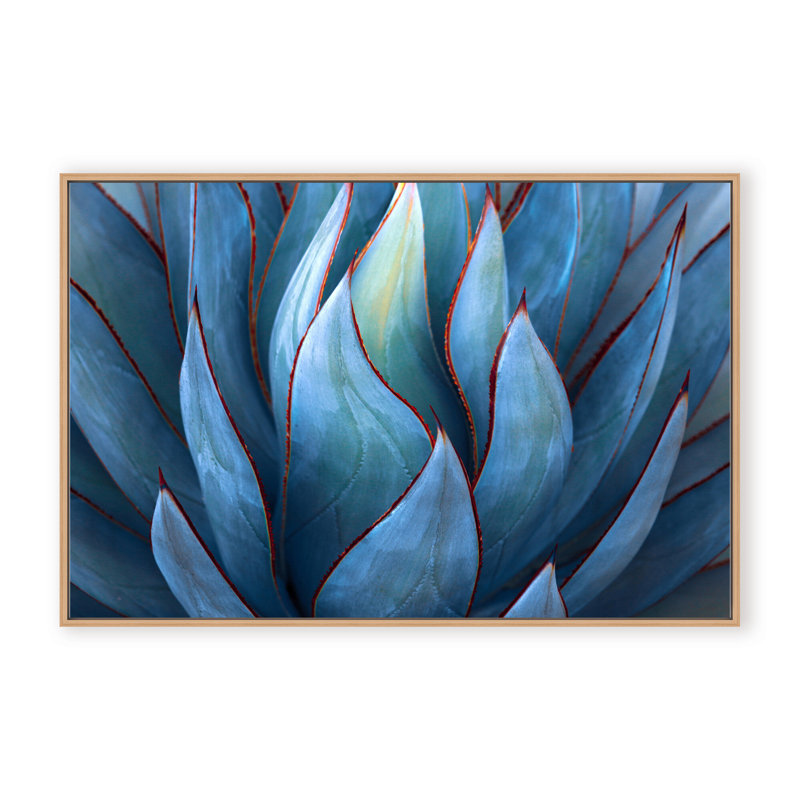 Nature Inspired Blue Agave Abstract by  - Picture Frame Graphic Art on Paper, 24" H x 36" W x 1.125" D, Black