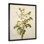 Fleur de pommier minimaliste beige I - fleur de pommier_106421