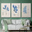 Algues bleu marine VI-91887796-91887797