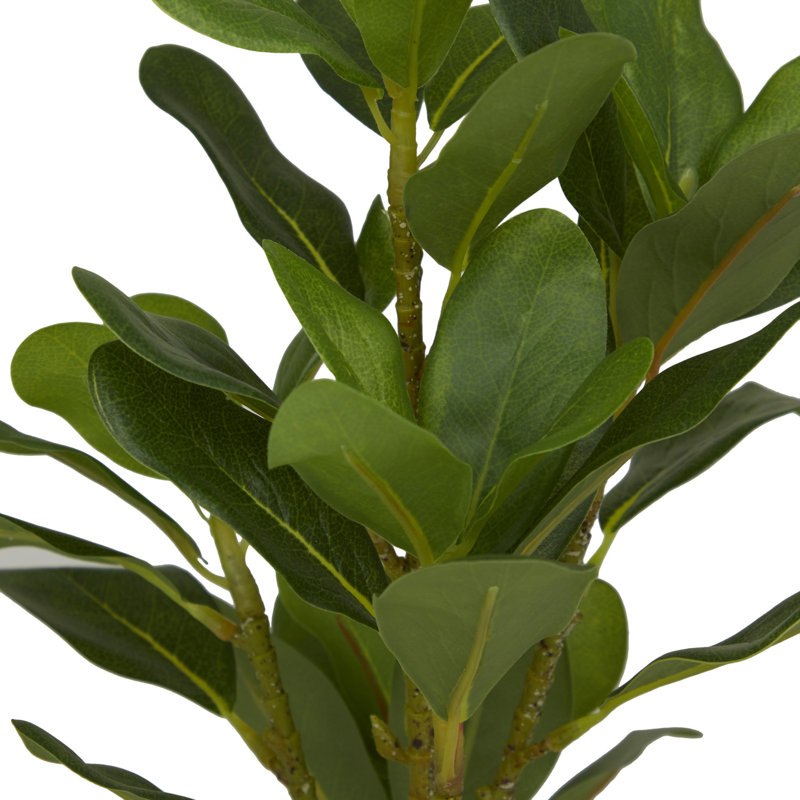 Feuillage artificiel en porcelaine naturelle Cole and Green