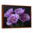 Toile avec cadre flottant brun