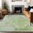 Machine Washable Indoor/Outdoor Claudian ACN1635 Aloe Rug-104240021