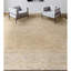 Sona Silk Oriental Area Rug in Camel/Gray
