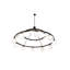 20 - Light Chandelier