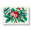 Flowers & Butterfly - Wrapped Canvas-55314317