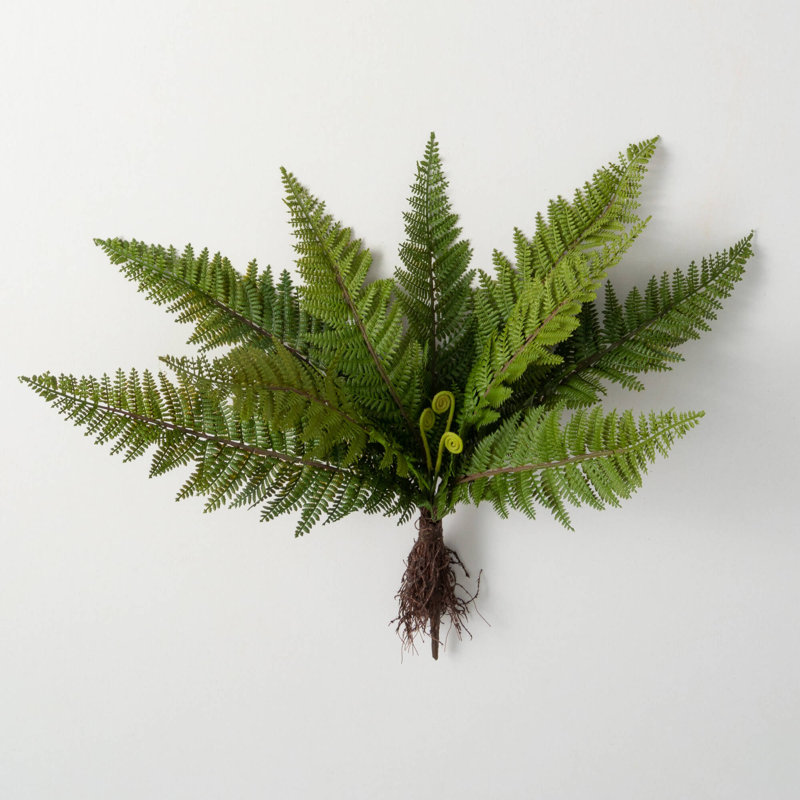 Fougère artificielle verte 16 "avec racines