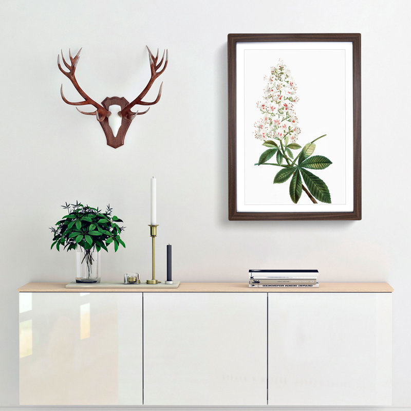 Horse Chestnut Tree Flowers by Pierre-Joseph Redoute - Framed Print, 36cm H x 27cm W x 2cm D, Walnut Framed