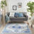 Colo Oriental Indoor Rug-37481334