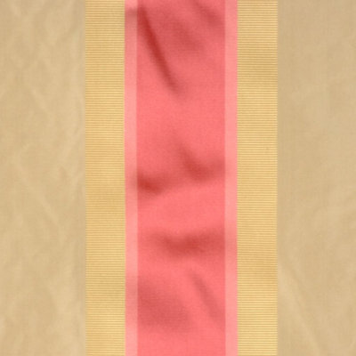 Allure Silk Fabric
