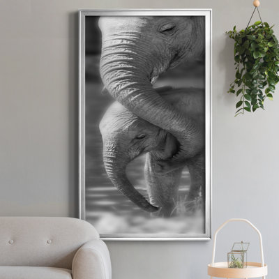 " Morning Moment "