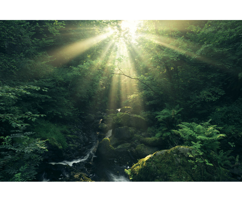 Wrapped Canvas Print, 60.96 cm H x 91.44 cm W
