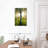 Harnek Sunlit Birch Tree-108237322