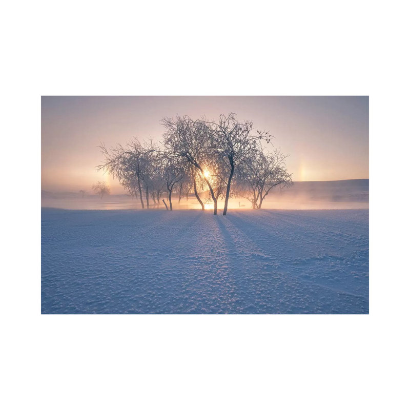 Swan Lake by Bingo Z - Wrapped Canvas Print, 66.04 cm H x 45.72 cm W x 1.91 cm D